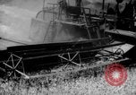 Standbild Weizen ernten Walla Walla Washington USA, 1937, aus Sekunde 38 historischem Filmmaterial Videoclip 65675069866