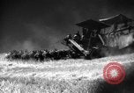 Standbild Weizen ernten Walla Walla Washington USA, 1937, aus Sekunde 43 historischem Filmmaterial Videoclip 65675069866
