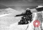 Standbild Weizen ernten Walla Walla Washington USA, 1937, aus Sekunde 48 historischem Filmmaterial Videoclip 65675069866