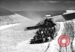 Standbild Weizen ernten Walla Walla Washington USA, 1937, aus Sekunde 49 historischem Filmmaterial Videoclip 65675069866