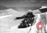 Standbild Weizen ernten Walla Walla Washington USA, 1937, aus Sekunde 50 historischem Filmmaterial Videoclip 65675069866