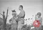 Image Bataille d'Okinawa Okinawa îles Ryukyu, 1945, de la seconde 27 séquences d'archives historiques vidéo 65675069876