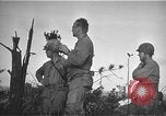 Image Bataille d'Okinawa Okinawa îles Ryukyu, 1945, de la seconde 33 séquences d'archives historiques vidéo 65675069876