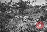 Image Bataille d'Okinawa Okinawa îles Ryukyu, 1945, de la seconde 35 séquences d'archives historiques vidéo 65675069876