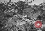Image Bataille d'Okinawa Okinawa îles Ryukyu, 1945, de la seconde 36 séquences d'archives historiques vidéo 65675069876