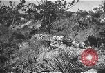 Image Bataille d'Okinawa Okinawa îles Ryukyu, 1945, de la seconde 37 séquences d'archives historiques vidéo 65675069876