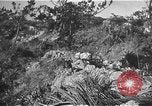 Image Bataille d'Okinawa Okinawa îles Ryukyu, 1945, de la seconde 39 séquences d'archives historiques vidéo 65675069876