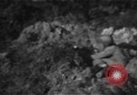 Image Bataille d'Okinawa Okinawa îles Ryukyu, 1945, de la seconde 43 séquences d'archives historiques vidéo 65675069876