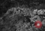 Image Bataille d'Okinawa Okinawa îles Ryukyu, 1945, de la seconde 46 séquences d'archives historiques vidéo 65675069876