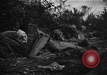 Image Bataille d'Okinawa Okinawa îles Ryukyu, 1945, de la seconde 5 séquences d'archives historiques vidéo 65675069877