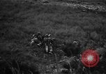 Image Bataille d'Okinawa Okinawa îles Ryukyu, 1945, de la seconde 28 séquences d'archives historiques vidéo 65675069877
