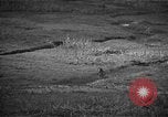 Image Bataille d'Okinawa Okinawa îles Ryukyu, 1945, de la seconde 59 séquences d'archives historiques vidéo 65675069877