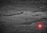 Image Bataille d'Okinawa Okinawa îles Ryukyu, 1945, de la seconde 61 séquences d'archives historiques vidéo 65675069877