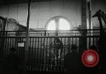 Standbild baby Giraffe London England Vereinigtes Königreich, 1956, aus Sekunde 4 historischem Filmmaterial Videoclip 65675069883