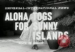 Immagine di Modelli Americani Hawaii USA, 1954, secondo 4 filmato di repertorio 65675069891