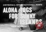 Immagine di Modelli Americani Hawaii USA, 1954, secondo 5 filmato di repertorio 65675069891
