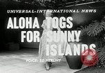 Immagine di Modelli Americani Hawaii USA, 1954, secondo 6 filmato di repertorio 65675069891