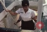 Immagine di United States Coast Guard Womens riserva United States USA, 1974, secondo 26 filmato di repertorio 65675069912