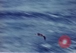 Immagine di SS Annibale Vittoria Oceano Pacifico, 1946, secondo 8 filmato di repertorio 65675069919