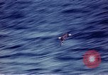 Immagine di SS Annibale Vittoria Oceano Pacifico, 1946, secondo 9 filmato di repertorio 65675069919
