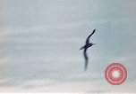 Immagine di SS Annibale Vittoria Oceano Pacifico, 1946, secondo 10 filmato di repertorio 65675069919