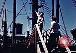 Immagine di SS Annibale Vittoria Oceano Pacifico, 1946, secondo 36 filmato di repertorio 65675069919