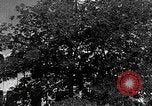 Immagine di Luoghi storici TaipeiTaiwan, 1940, secondo 61 filmato di repertorio 65675069920