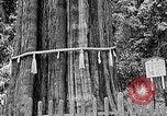 Standbild In den Bergen von Taiwan Taiwan, 1940, aus Sekunde 41 historischem Filmmaterial Videoclip 65675069925