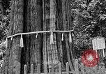 Standbild In den Bergen von Taiwan Taiwan, 1940, aus Sekunde 42 historischem Filmmaterial Videoclip 65675069925