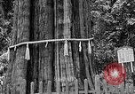 Standbild In den Bergen von Taiwan Taiwan, 1940, aus Sekunde 43 historischem Filmmaterial Videoclip 65675069925