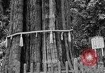 Standbild In den Bergen von Taiwan Taiwan, 1940, aus Sekunde 44 historischem Filmmaterial Videoclip 65675069925