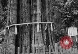Standbild In den Bergen von Taiwan Taiwan, 1940, aus Sekunde 45 historischem Filmmaterial Videoclip 65675069925