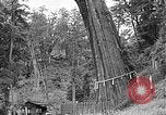 Standbild In den Bergen von Taiwan Taiwan, 1940, aus Sekunde 49 historischem Filmmaterial Videoclip 65675069925