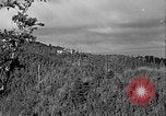 Standbild In den Bergen von Taiwan Taiwan, 1940, aus Sekunde 61 historischem Filmmaterial Videoclip 65675069925