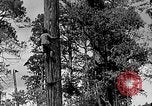 Standbild Holzfäller Skalierung hohe Bäume Taiwan, 1940, aus Sekunde 3 historischem Filmmaterial Videoclip 65675069926