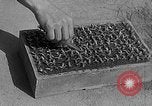 Immagine di Laboratori sperimentali centrali per l'agricoltura Taiwan Taiwan, 1940, secondo 10 filmato di repertorio 65675069929