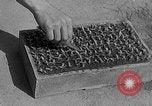 Immagine di Laboratori sperimentali centrali per l'agricoltura Taiwan Taiwan, 1940, secondo 11 filmato di repertorio 65675069929