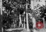Immagine di Laboratori sperimentali centrali per l'agricoltura Taiwan Taiwan, 1940, secondo 57 filmato di repertorio 65675069929