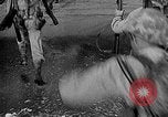 Standbild New Guinea Kampagne Indonesien, 1942, aus Sekunde 33 historischem Filmmaterial Videoclip 65675069933