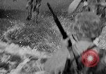 Standbild New Guinea Kampagne Indonesien, 1942, aus Sekunde 35 historischem Filmmaterial Videoclip 65675069933