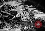 Standbild Rote Armee Russland, 1944, aus Sekunde 50 historischem Filmmaterial Videoclip 65675069938