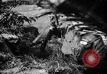 Standbild Rote Armee Russland, 1944, aus Sekunde 51 historischem Filmmaterial Videoclip 65675069938