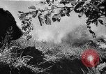 Standbild Rote Armee Russland, 1944, aus Sekunde 54 historischem Filmmaterial Videoclip 65675069938