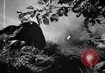 Standbild Rote Armee Russland, 1944, aus Sekunde 55 historischem Filmmaterial Videoclip 65675069938