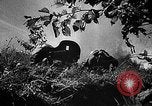 Standbild Rote Armee Russland, 1944, aus Sekunde 59 historischem Filmmaterial Videoclip 65675069938