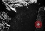 Standbild Rote Armee Russland, 1944, aus Sekunde 61 historischem Filmmaterial Videoclip 65675069938