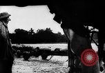 Image of Royal Air Force bombings Burma, 1944, second 13 stock footage video 65675069939