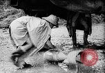 Image of Royal Air Force bombings Burma, 1944, second 15 stock footage video 65675069939