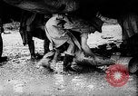 Image of Royal Air Force bombings Burma, 1944, second 18 stock footage video 65675069939
