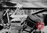 Immagine di Soldati alleati Italia, 1944, secondo 27 filmato di repertorio 65675069940